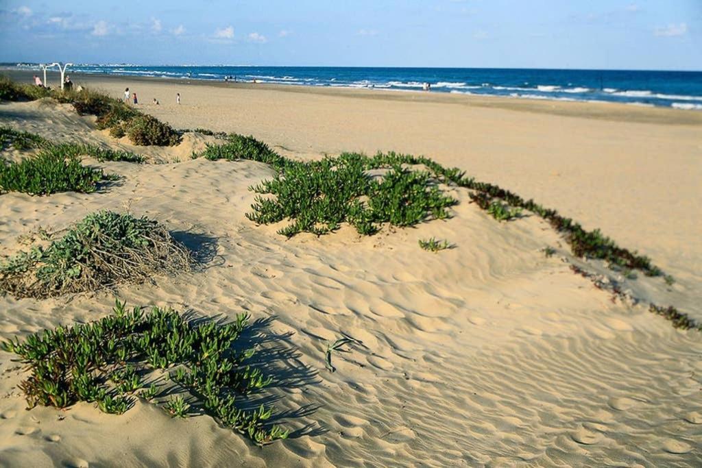 Apartamento En Playa Canet De Berenguer Canet d'En Berenguer Buitenkant foto